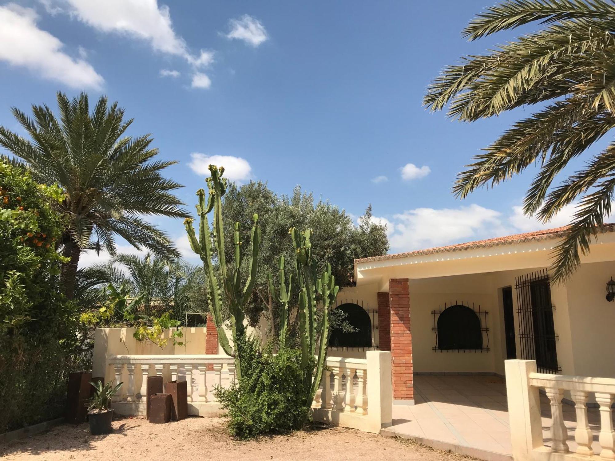 Tiguimi Vacances - Oasis Villas, Cadre Naturel Et Vue Montagne Agádír Exteriér fotografie