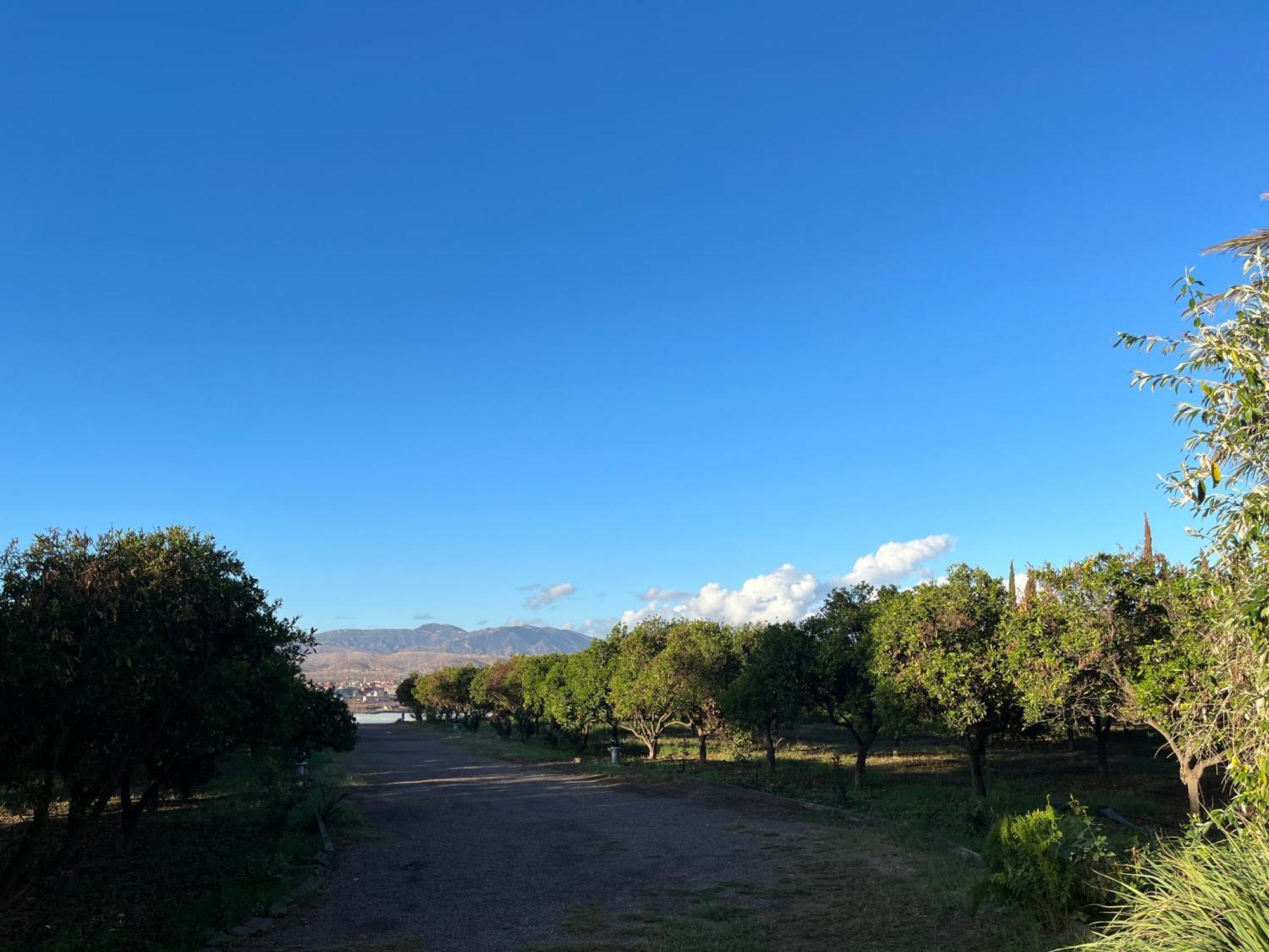 Tiguimi Vacances - Oasis Villas, Cadre Naturel Et Vue Montagne Agádír Exteriér fotografie