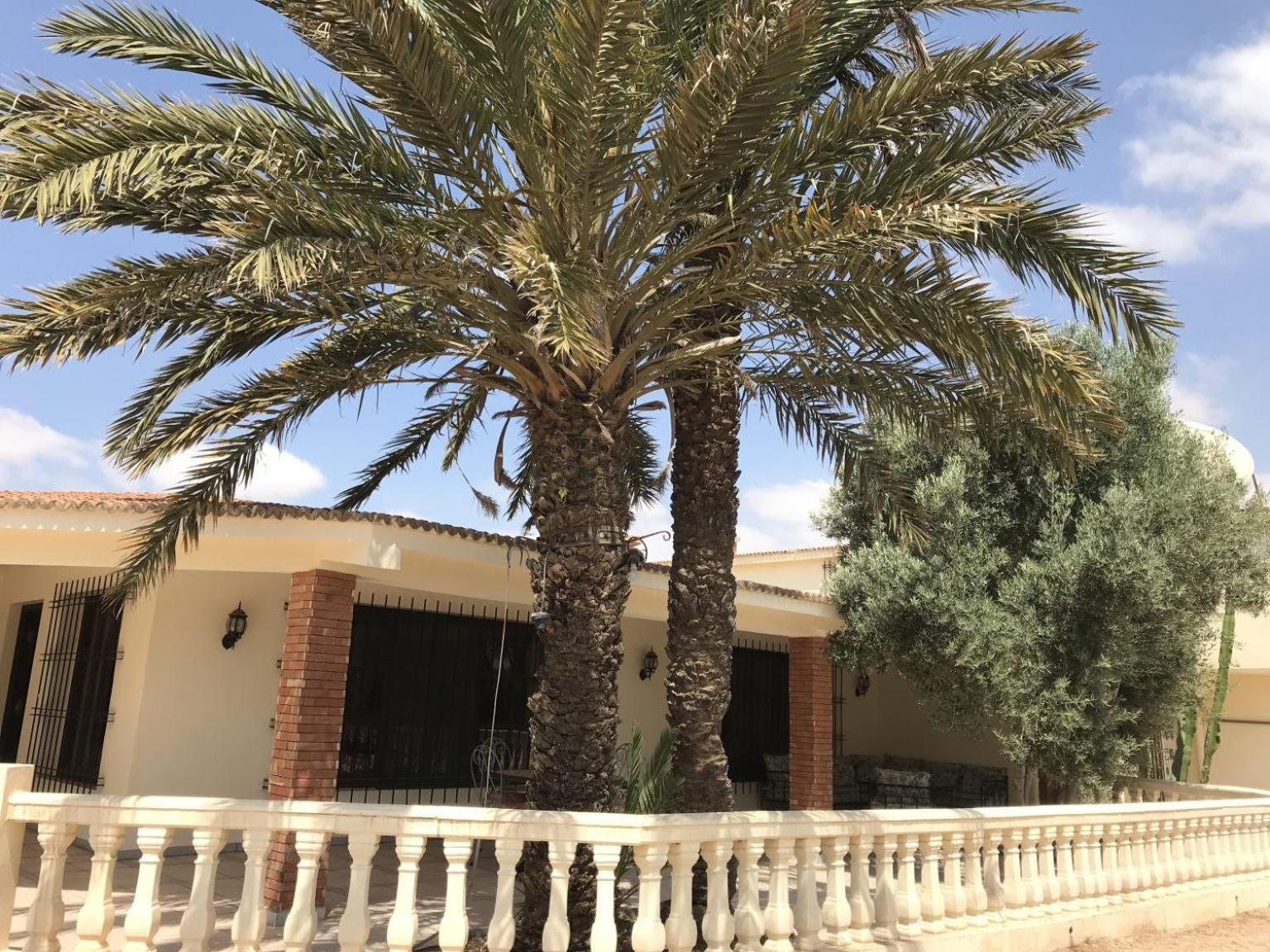 Tiguimi Vacances - Oasis Villas, Cadre Naturel Et Vue Montagne Agádír Exteriér fotografie